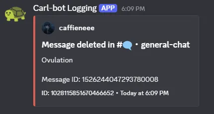 Screenshot 2026 07 13 180908 - Static asset auto-indexed from directory configuration.